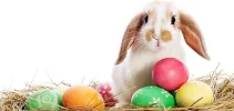 easter.webp