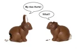 bunny.webp