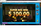 wild orient 3.webp
