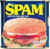 spam.webp