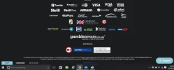 viksem.webp