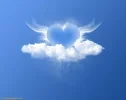 cdf6faca364cb21b8bc18c7c8e1a1809.webp