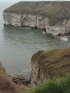 16.webp
