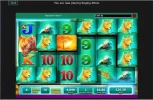 ragingrhinobet365-24x6OAKsofcheetah150xbet.webp ragingrhinobet365-24x6OAKsofcheetah150xbet.webp