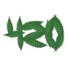 420.webp