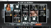 Screenshot (633).webp