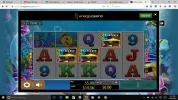 Screenshot (646).webp