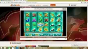 raging rhino 16.webp