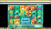 raging rhino 18.webp