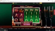 wild.webp