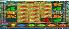 cashapillar.webp cashapillar.webp