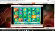 raging rhino 22.webp
