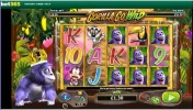 gorillagowildbet365sucksstaywildfeature6wildsbutonly5pwon.webp