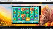 raging rhino 2.webp