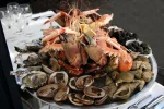 coquillages2.webp