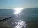 sea.webp sea.webp