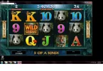 wild orient 1.webp