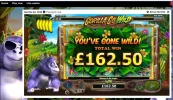 gorillagowildroyalpandamegarillamultiplierwithretriggerandmaxmultiplierof10xachievedafteronly...webp