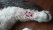 bite.webp