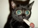 download.webp download.webp