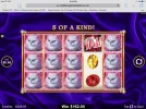 image.webp