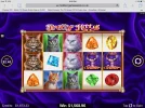 image.webp