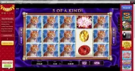 Dotty Bingo - PK Slot.webp Dotty Bingo - PK Slot.webp