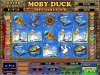Moby Duck.jpg