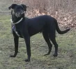 new mack pic 008.webp