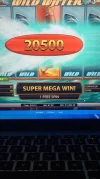 winner.webp