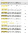 Casinomeister.webp