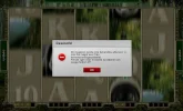 13.webp 13.webp