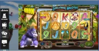 gorillagowildcashmiogorillionairewinspinsgotnatural5OAKofgorillacoinfeaturetotalwin90.66xbet.webp