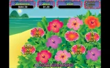 paradise .webp