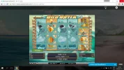 firstspinwildwater.webp