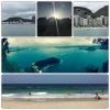 rio.webp rio.webp