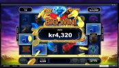 Buffalo blitz.webp