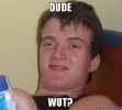 Dude-wut.webp
