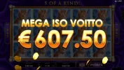 405xPrettyKitty.webp