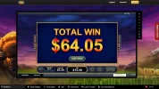 buffaloblitz.webp