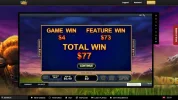 buffaloblitz4.webp