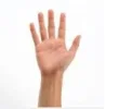 Untitled.webp Untitled.webp