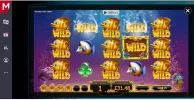 GFTmaria5x5OAKofwilds122.96xbet(2).webp GFTmaria5x5OAKofwilds122.96xbet(2).webp