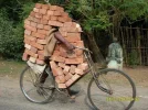 01212.webp