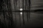img_9288h-s_4.webp