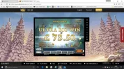 wildnorth.webp