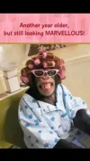 b7af2e7b2e38dd24eca9a66da33ff90c.webp b7af2e7b2e38dd24eca9a66da33ff90c.webp