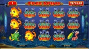 Fish party 2.webp