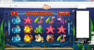 fish.webp fish.webp