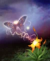 midnightinthegardenSM.webp